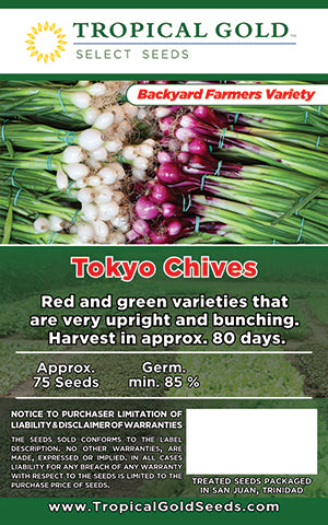 TOKYO CHIVES