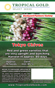 TOKYO CHIVES