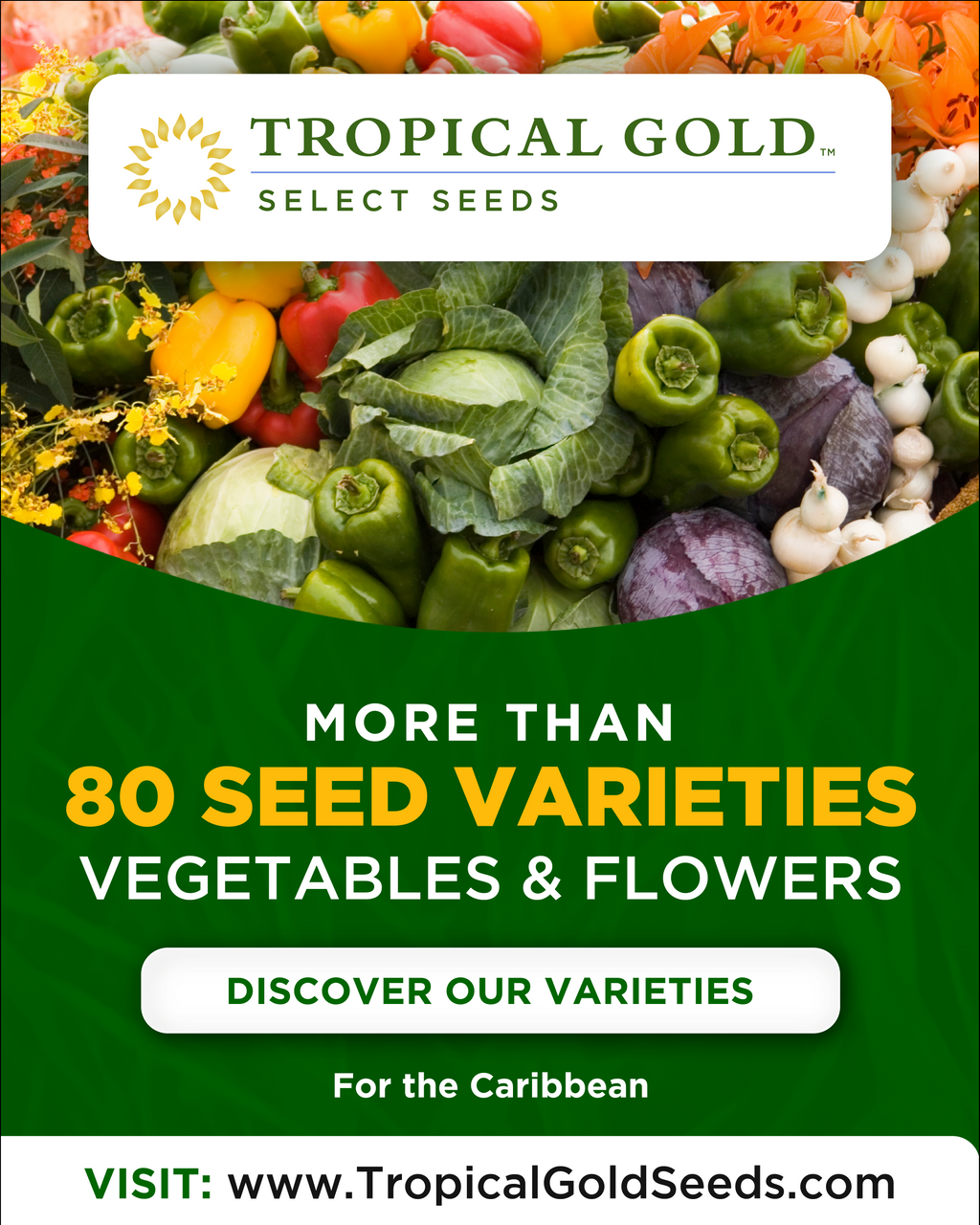 80+ Seed Varieties