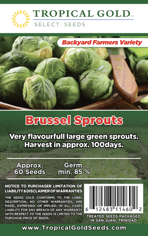 BRUSSEL SPROUTS