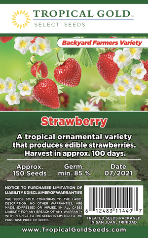 camarosa strawberries seeds STRAWBERRY – Tropical Gold Seeds