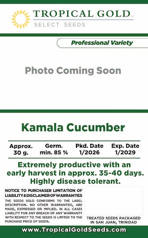 KAMALA F1 CUCUMBER