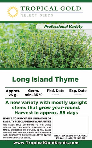 LONG ISLAND THYME