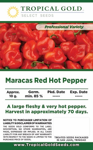 MARACAS RED HOT PEPPER