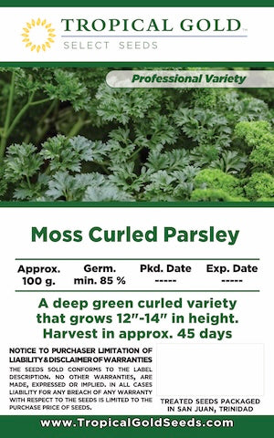 MOSS CURLED PARSLEY