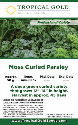 MOSS CURLED PARSLEY