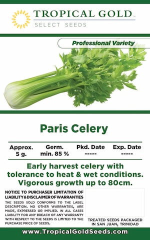 PARIS CELERY