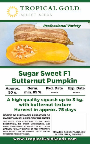 SUGAR SWEET F1 BUTTERNUT PUMPKIN
