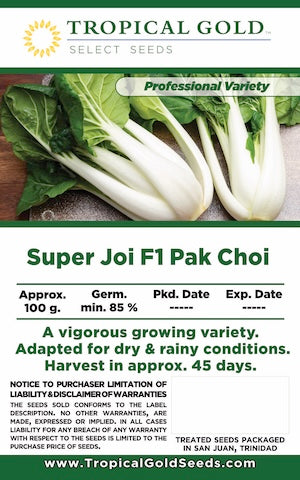 SUPER JOI F1 PAK CHOI