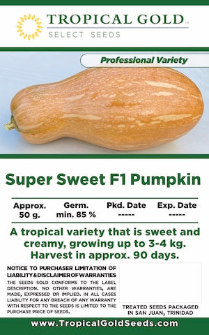 SUPER SWEET F1 PUMPKIN
