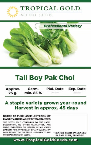 TALL BOY PAK CHOI
