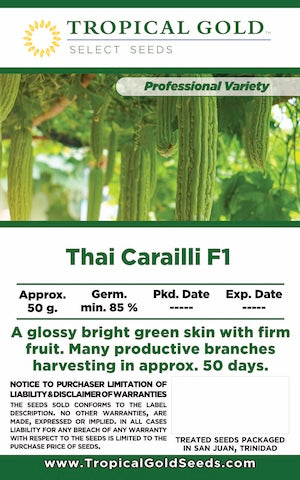 THAI F1 CARAILLI