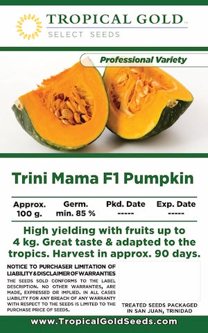 TRINI-MAMA F1 PUMPKIN
