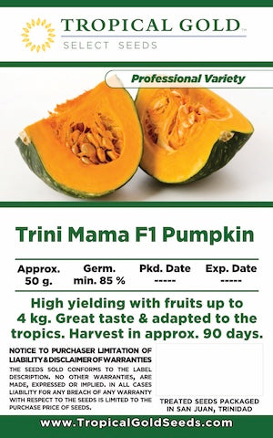 TRINI-MAMA F1 PUMPKIN