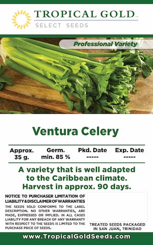 VENTURA CELERY