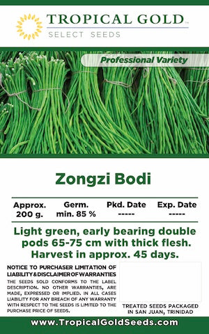 ZONGZI BODI