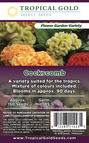 COCKSCOMB – Tropical Gold Seeds