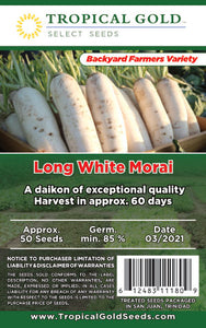 LONG WHITE MORAI