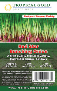 RED STAR BUNCHING ONION