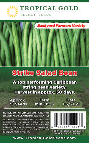 STRIKE SALAD BEAN