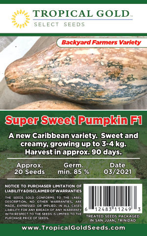 SUPER SWEET PUMPKIN F1