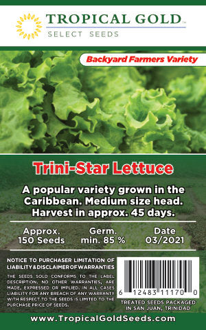 TRINI-STAR LETTUCE